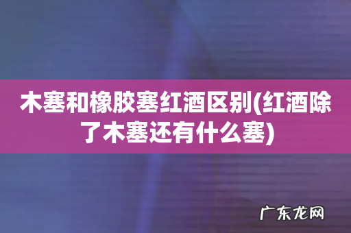 红酒除了木塞还有什么塞 木塞和橡胶塞红酒区别