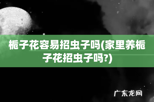 家里养栀子花招虫子吗? 栀子花容易招虫子吗