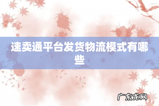 速卖通平台发货物流模式有哪些