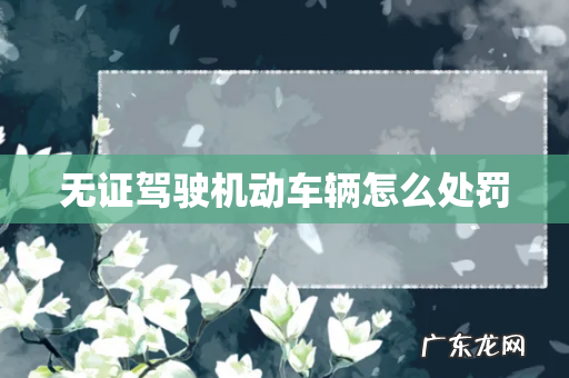 无证驾驶机动车辆怎么处罚