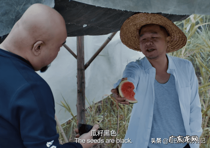 尖峰时刻3看不懂 尖峰时刻3在线观看