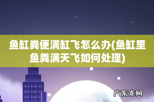 鱼缸里鱼粪满天飞如何处理 鱼缸粪便满缸飞怎么办