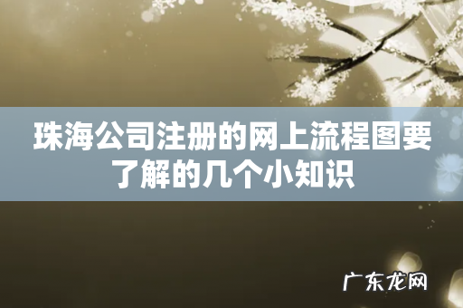珠海公司注册的网上流程图要了解的几个小知识