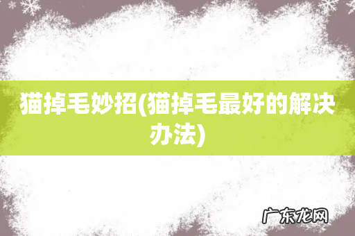 猫掉毛最好的解决办法 猫掉毛妙招