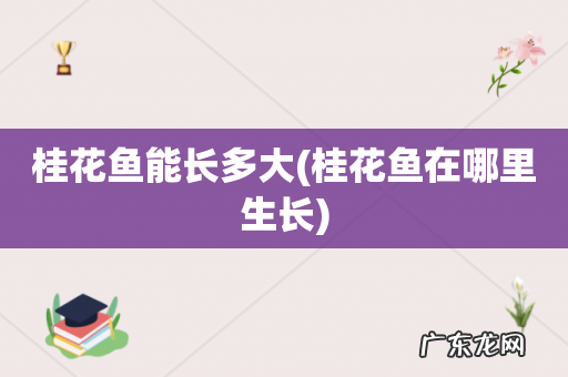 桂花鱼在哪里生长 桂花鱼能长多大