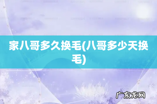 八哥多少天换毛 家八哥多久换毛