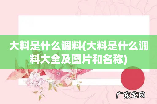 大料是什么调料大全及图片和名称 大料是什么调料