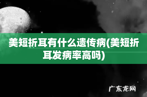 美短折耳发病率高吗 美短折耳有什么遗传病
