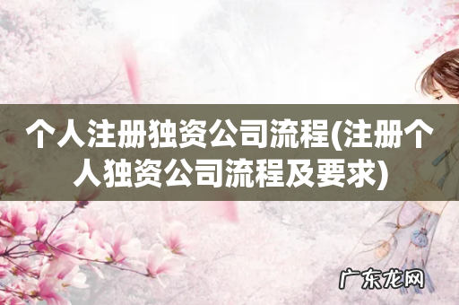 注册个人独资公司流程及要求 个人注册独资公司流程