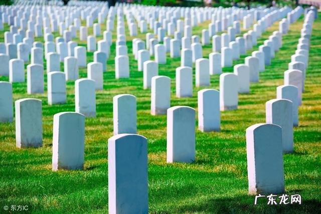 旺儿子的植物 风水对子孙后代的影响