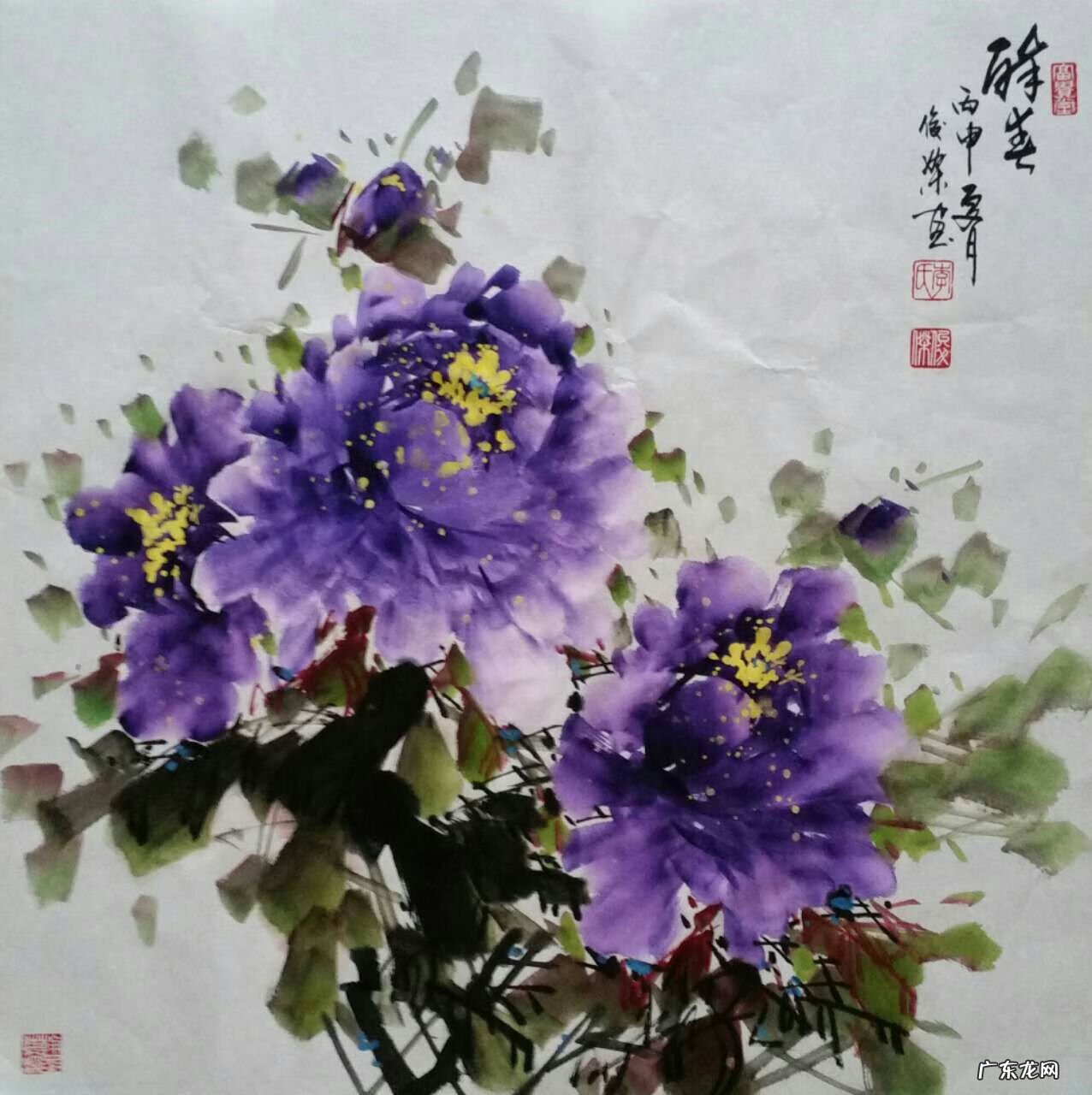 庭院牡丹与风水 风水牡丹第一人李俊杰