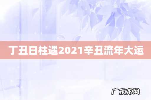 丁丑日柱遇2021辛丑流年大运