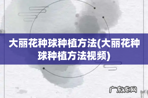 大丽花种球种植方法视频 大丽花种球种植方法