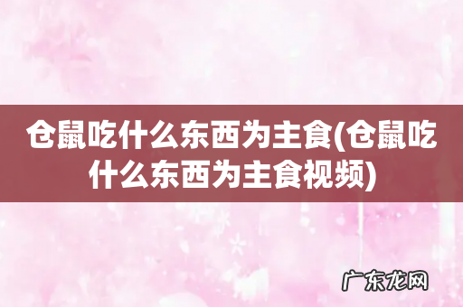 仓鼠吃什么东西为主食视频 仓鼠吃什么东西为主食