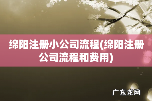 绵阳注册公司流程和费用 绵阳注册小公司流程