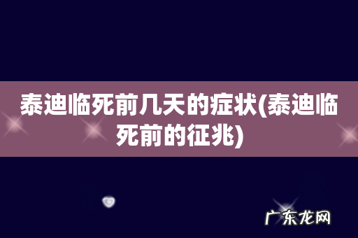 泰迪临死前的征兆 泰迪临死前几天的症状