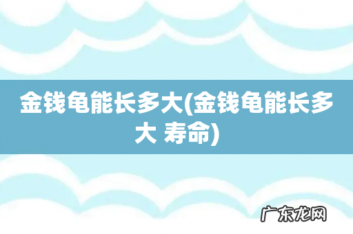 金钱龟能长多大 寿命 金钱龟能长多大