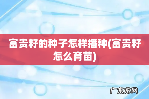 富贵籽怎么育苗 富贵籽的种子怎样播种