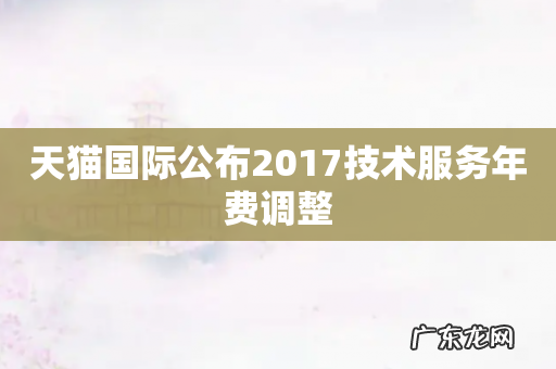 天猫国际公布2017技术服务年费调整