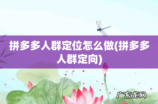 拼多多人群定向 拼多多人群定位怎么做