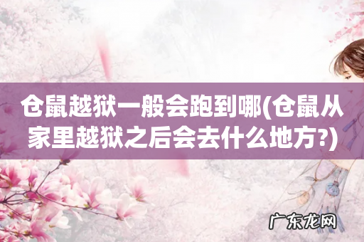仓鼠从家里越狱之后会去什么地方? 仓鼠越狱一般会跑到哪