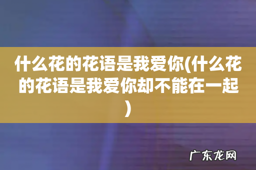 什么花的花语是我爱你却不能在一起 什么花的花语是我爱你