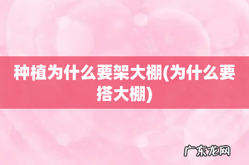 为什么要搭大棚 种植为什么要架大棚