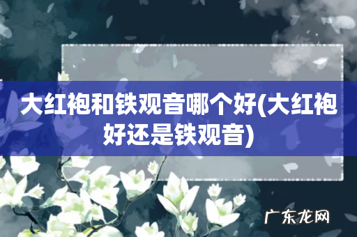 大红袍好还是铁观音 大红袍和铁观音哪个好