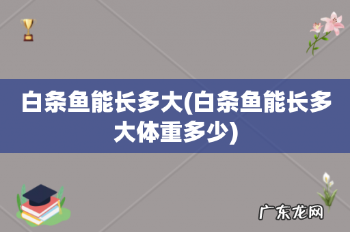 白条鱼能长多大体重多少 白条鱼能长多大