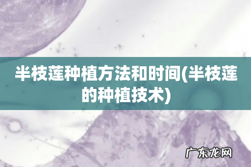 半枝莲的种植技术 半枝莲种植方法和时间