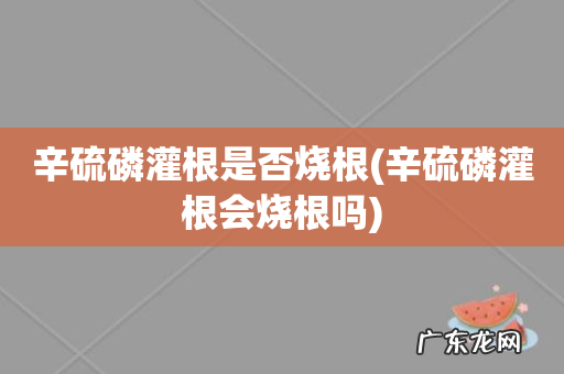 辛硫磷灌根会烧根吗 辛硫磷灌根是否烧根