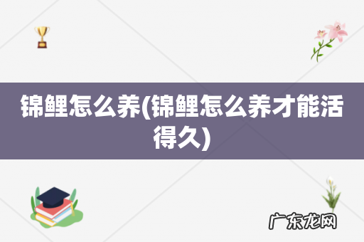 锦鲤怎么养才能活得久 锦鲤怎么养