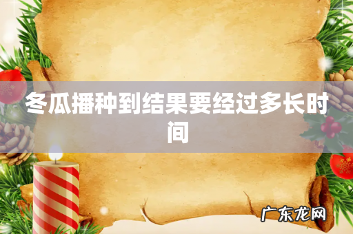 冬瓜播种到结果要经过多长时间