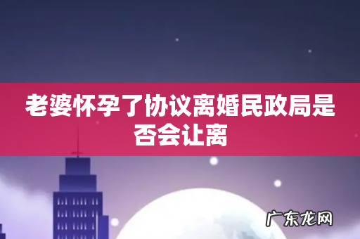 老婆怀孕了协议离婚民政局是否会让离