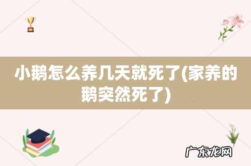 家养的鹅突然死了 小鹅怎么养几天就死了