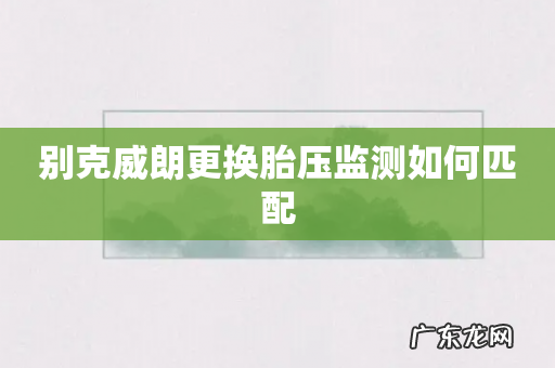 别克威朗更换胎压监测如何匹配