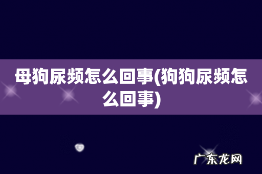 狗狗尿频怎么回事 母狗尿频怎么回事