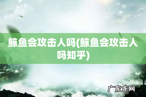 鲸鱼会攻击人吗知乎 鲸鱼会攻击人吗