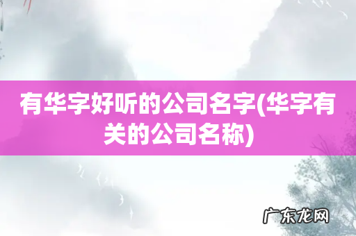 华字有关的公司名称 有华字好听的公司名字