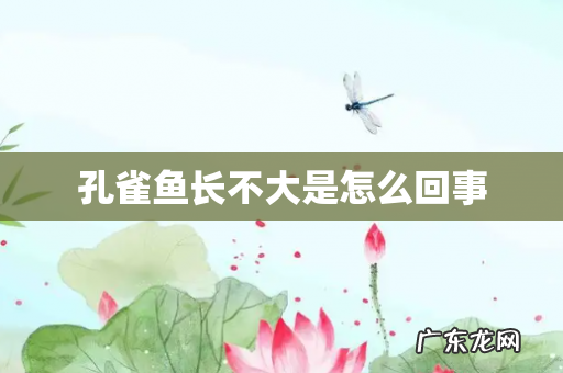 孔雀鱼长不大是怎么回事