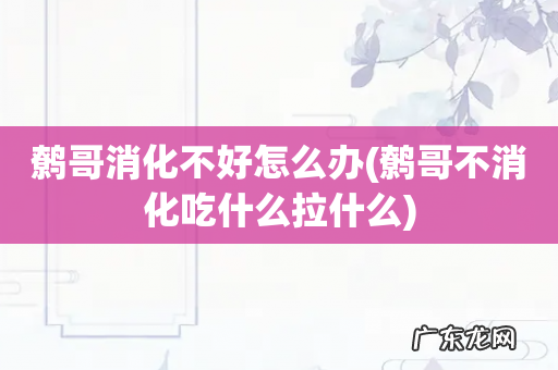 鹩哥不消化吃什么拉什么 鹩哥消化不好怎么办