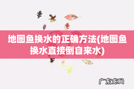 地图鱼换水直接倒自来水 地图鱼换水的正确方法