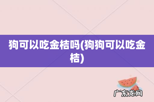 狗狗可以吃金桔 狗可以吃金桔吗