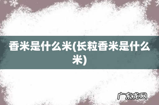 长粒香米是什么米 香米是什么米