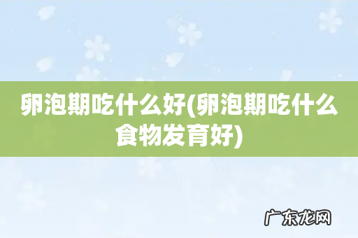 卵泡期吃什么食物发育好 卵泡期吃什么好