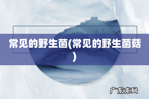 常见的野生菌菇 常见的野生菌