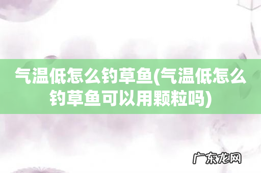 气温低怎么钓草鱼可以用颗粒吗 气温低怎么钓草鱼