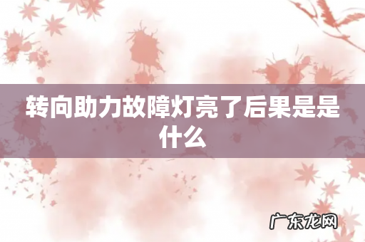 转向助力故障灯亮了后果是是什么