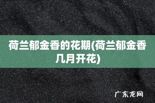 荷兰郁金香几月开花 荷兰郁金香的花期