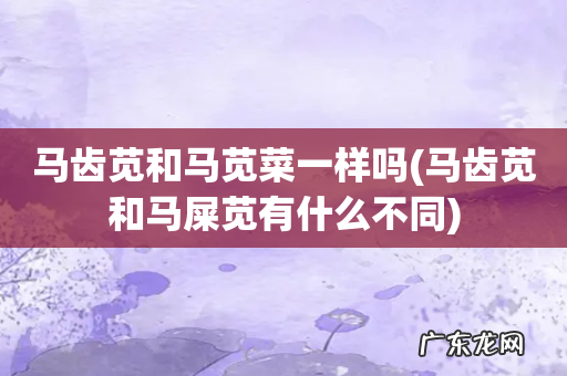 马齿苋和马屎苋有什么不同 马齿苋和马苋菜一样吗